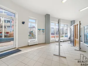Prodej obchodního prostoru, Olomouc - Nová Ulice, Wellnerova, 65 m2
