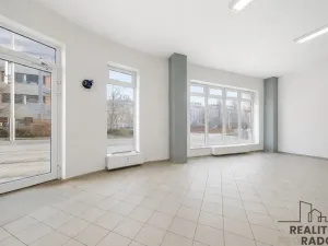 Prodej obchodního prostoru, Olomouc - Nová Ulice, Wellnerova, 65 m2