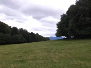 Prodej pozemku, Vlčice, 1566 m2