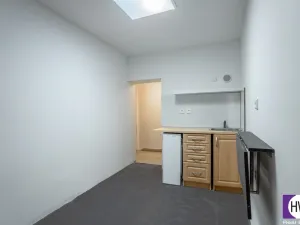 Prodej bytu 1+kk, Praha, Cimburkova, 12 m2