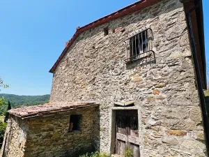 Prodej zemědělské usedlosti, Subbiano, Itálie, 350 m2