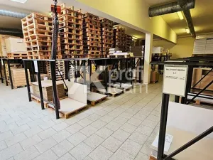 Prodej komerční nemovitosti, Opava, Slezská, 1385 m2