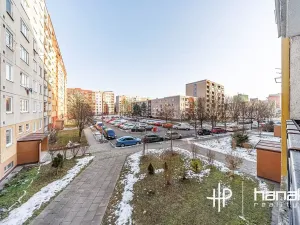 Prodej bytu 3+1, Olomouc, Družební, 78 m2
