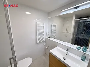 Pronájem bytu 1+kk, Pardubice, Družby, 30 m2