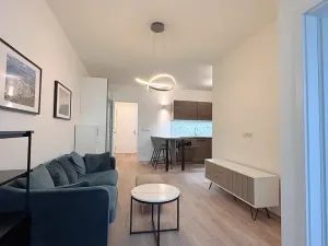 Pronájem bytu 2+kk, Brno, Hybešova, 53 m2