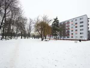 Prodej bytu 1+1, Brno, Svatopluka Čecha, 40 m2