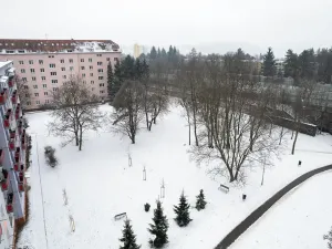 Prodej bytu 1+1, Brno, Svatopluka Čecha, 40 m2