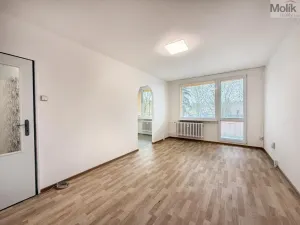 Pronájem bytu 2+1, Bílina - Pražské Předměstí, Aléská, 49 m2