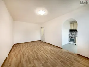 Pronájem bytu 2+1, Bílina - Pražské Předměstí, Aléská, 49 m2