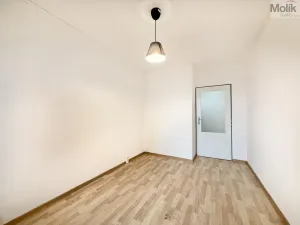 Pronájem bytu 2+1, Bílina - Pražské Předměstí, Aléská, 49 m2