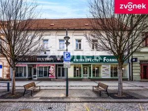Prodej obchodního prostoru, Uherský Brod, 700 m2