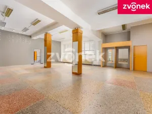 Prodej vily, Uherský Brod, Masarykovo nám., 700 m2