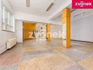 Prodej vily, Uherský Brod, Masarykovo nám., 700 m2