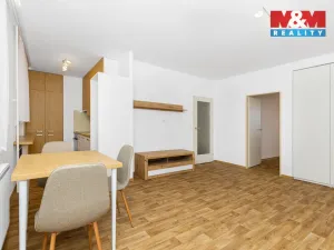 Pronájem bytu 3+kk, Pardubice - Zelené Předměstí, S. K. Neumanna, 62 m2