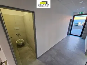 Pronájem výrobních prostor, Řepov, 816 m2