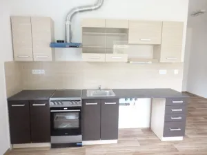 Pronájem bytu 4+kk, Břidličná, Lesy, 82 m2
