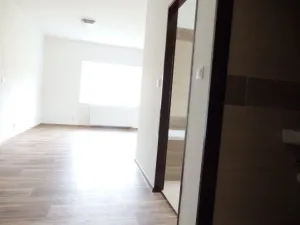 Pronájem bytu 4+kk, Břidličná, Lesy, 82 m2