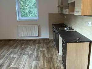 Pronájem bytu 4+kk, Břidličná, Lesy, 82 m2