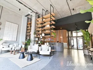 Pronájem bytu 1+kk, Brno, Bratislavská, 29 m2