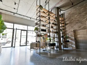 Pronájem bytu 1+kk, Brno, Bratislavská, 29 m2