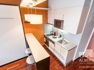 Pronájem bytu 1+kk, Praha - Nusle, Sekaninova, 33 m2