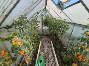 Prodej pozemku pro bydlení, Třinec - Lyžbice, 144 m2