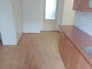 Pronájem bytu 1+1, Děčín - Děčín VI-Letná, Fibichova, 44 m2