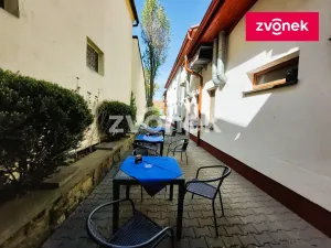 Pronájem ubytování, Vlčnov, 500 m2