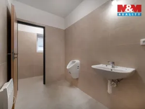 Pronájem skladu, Cerekvice nad Loučnou - Pekla, 794 m2