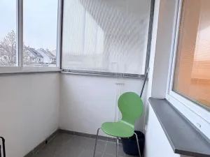 Pronájem bytu 1+kk, Olomouc, Okružní, 36 m2