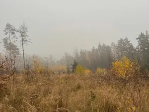 Prodej podílu lesa, Úboč, 4513 m2