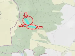 Prodej podílu lesa, Úboč, 4513 m2