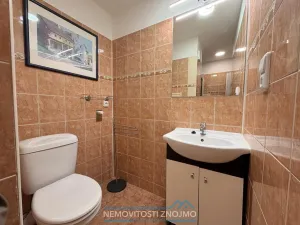 Pronájem bytu 1+1, Znojmo, Pražská, 35 m2