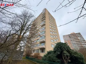 Pronájem bytu 1+kk, Praha - Braník, Nad lesním divadlem, 23 m2