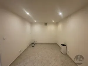 Pronájem bytu 2+kk, Praha - Žižkov, Biskupcova, 35 m2