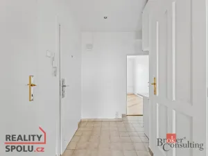 Prodej bytu 2+kk, Praha - Žižkov, Hartigova, 55 m2