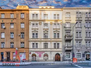 Prodej bytu 2+kk, Praha - Žižkov, Hartigova, 55 m2
