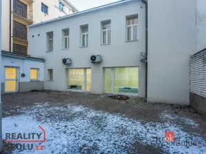 Prodej bytu 2+kk, Praha - Žižkov, Hartigova, 40 m2