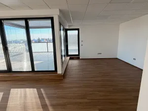 Pronájem bytu 2+kk, Prostějov, Melantrichova, 86 m2