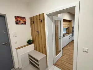 Prodej bytu 1+kk, Brno, Řepova, 42 m2