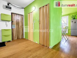 Prodej bytu 2+1, Ostrov, Lidická, 62 m2