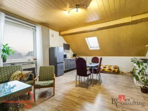 Prodej rodinného domu, Týniště nad Orlicí, V Sítinách, 395 m2