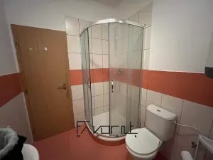 Prodej bytu 1+1, Ostrava, Korunní, 53 m2