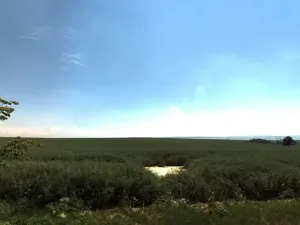 Prodej pole, Chlebičov, 5163 m2