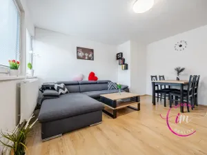 Prodej bytu 3+1, Hrotovice, Lidická, 60 m2