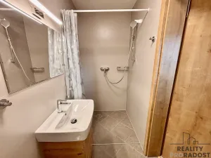 Pronájem apartmánu, Olšany u Prostějova - Hablov, 247 m2