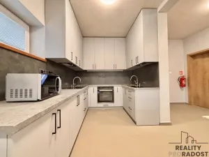 Pronájem apartmánu, Olšany u Prostějova - Hablov, 247 m2