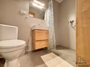 Pronájem apartmánu, Olšany u Prostějova - Hablov, 247 m2