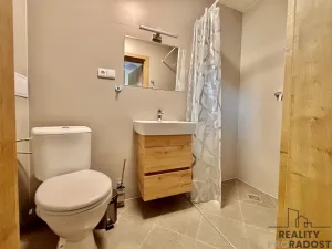 Pronájem komerční nemovitosti, Olšany u Prostějova - Hablov, 247 m2