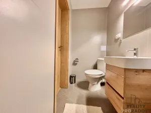 Pronájem komerční nemovitosti, Olšany u Prostějova - Hablov, 247 m2